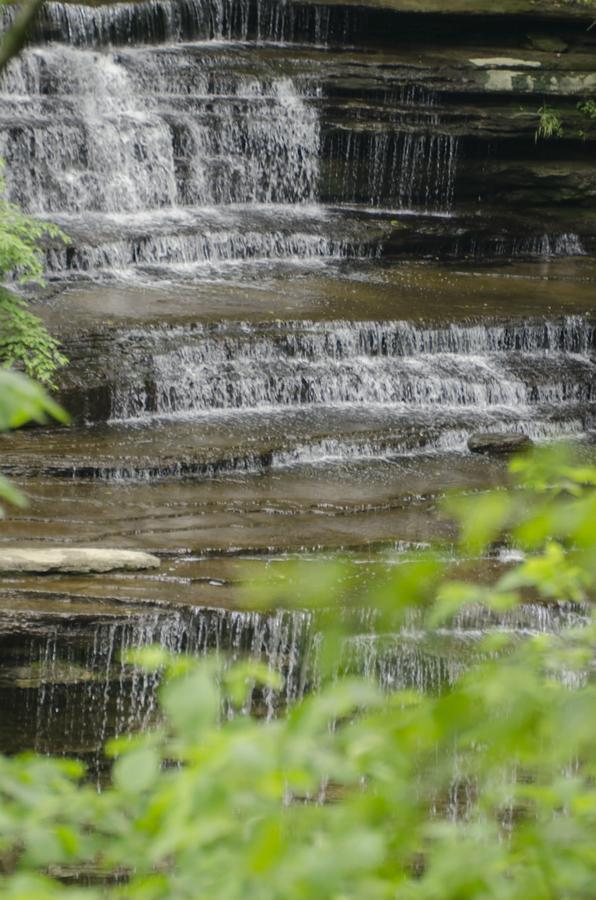 Clifty Inn マディソン エクステリア 写真